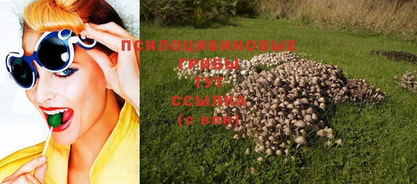 PSILOCYBIN Зерноград