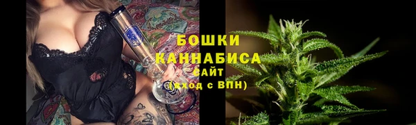 PSILOCYBIN Зерноград