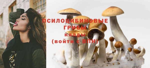 PSILOCYBIN Зерноград