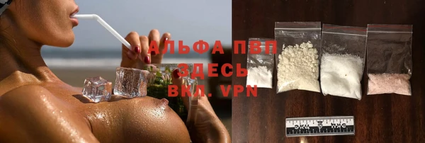 PSILOCYBIN Зерноград