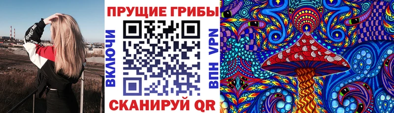 Галлюциногенные грибы мицелий  Купить где  Новороссийск 